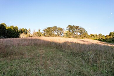 DJI_0482