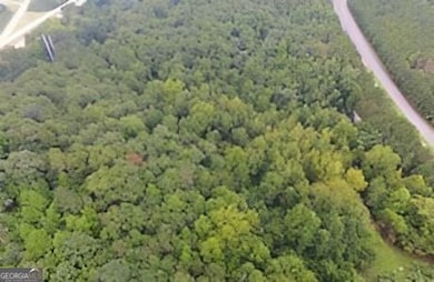 0 Bluffs Pkwy unit 10648203, Canton, GA 30114 - photo 4