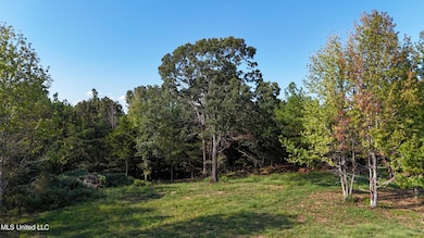 0 Tyro Branch Cove, Senatobia, MS 38668 - photo 5