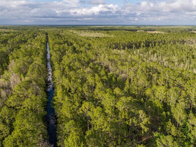 0 12th Ave unit MFRT3503635, Deland, FL 32724 - photo 3