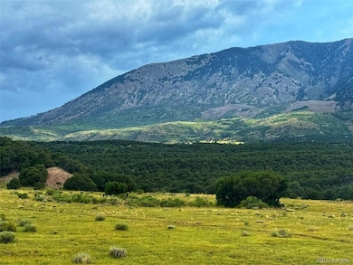 0 Lot 102 Cl&g Cc unit REC8378553, Gardner, CO 81040 - photo 7