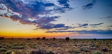 20200916_182227-HDR