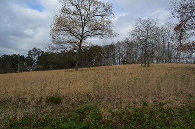 Lot 5 East Union Valley 015