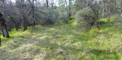 old driveway