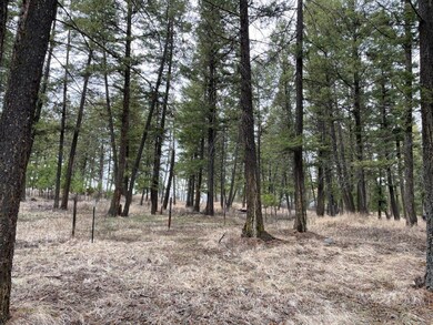 Property & Timber 1