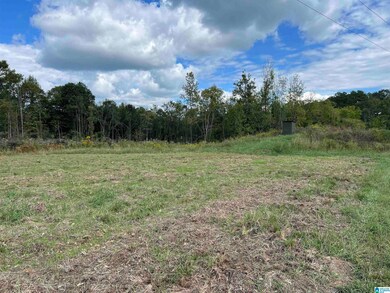 0 Sweatt Rd unit 21398227, Steele, AL 35987 - photo 7