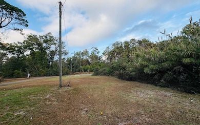 89 Mcmahan Dr, Crawfordville, FL 32327 - photo 2