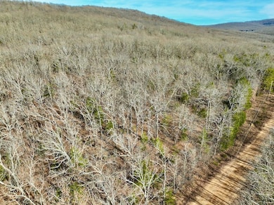 Tbd Old Cabin Rd Lot unit WP001, Winslow, AR 72959 - photo 6