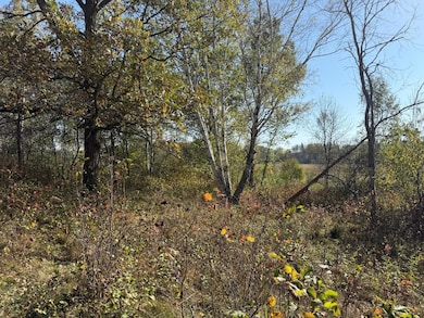 TBD 139 56ac 360th Ave, Frazee, MN 56544 - photo 2