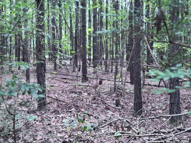 8 Abby Ln, Lumberton, MS 39455 - photo 5