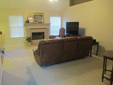 Open living room with vaulted ceiling, plant shelves