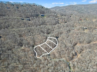 15 Chestnut Village unit 15, Mars Hill, NC 28754 - photo 4