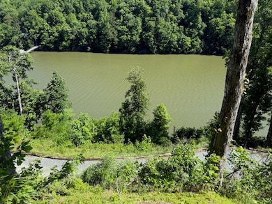 0 Waters Edge unit 26041014, Bryson City, NC 28713 - photo 6