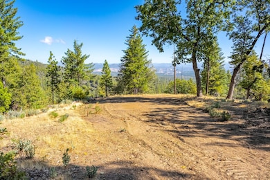 TBD Wagner Ridge Rd, Coulterville, CA 95311 - photo 3