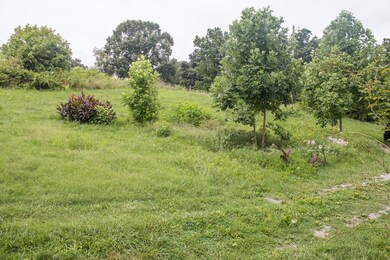 2360 Highway 92, Rutledge, TN 37861 - photo 4