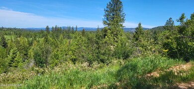 NNA E Van Dusen Rd, Harrison, ID 83833 - photo 6