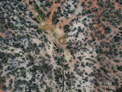 Spring Area