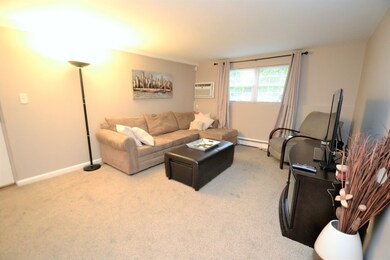 349 Hildreth St unit 13, Lowell, MA 01850 - photo 5