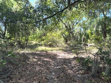 4140 S Kenvera Loop, Inverness, FL 34450 - photo 4