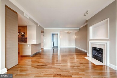 The Ritz-Carlton Residences, Baltimore, MD 21230 - photo 7