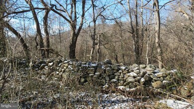 0 Lee Hwy unit 1000162279, Sperryville, VA 22740 - photo 2