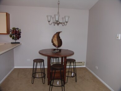 4406 W Shamrock Ln unit 2B, McHenry, IL 60050 - photo 4