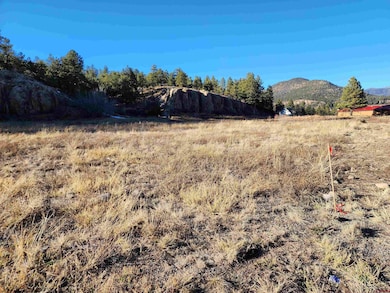 1-R W Hwy 160, South Fork, CO 81154 - photo 6