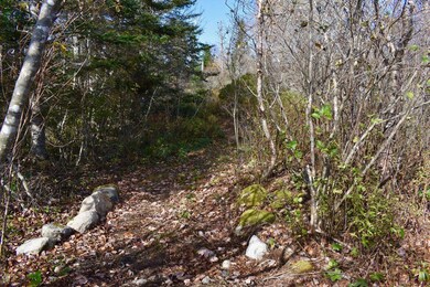 Back Acreage Path