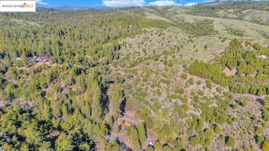 0000 Jackass Creek Rd, Groveland, CA 95321 - photo 4