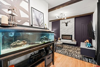 555 E 7th Ave, Durango, CO 81301 - photo 7
