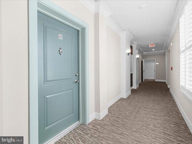 K. Hovnanian’s® Four Seasons at Kent Island - Luxury Condos unit 12, Chester, MD 21619 - photo 4