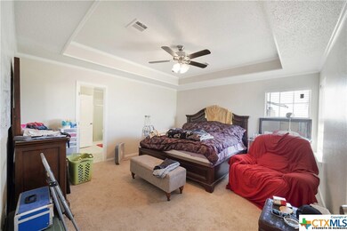 256 County Road 453, Troy, TX 76579 - photo 7