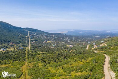 aerial 3