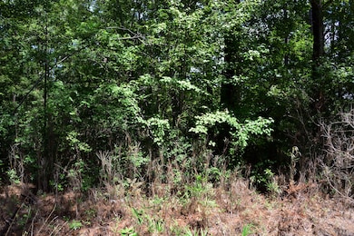 0 Cherry Hill Rd unit 25023693, Hollywood, SC 29449 - photo 2