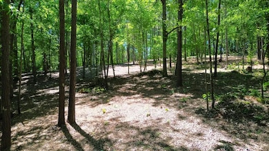 8121 Lick Creek Rd, Big Sandy, TN 38221 - photo 6