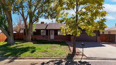 3013 1/2 Country Rd, Grand Junction, CO 81504 - photo 3