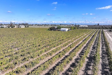 12615 S Mitchell Ave, Selma, CA 93662 - photo 4