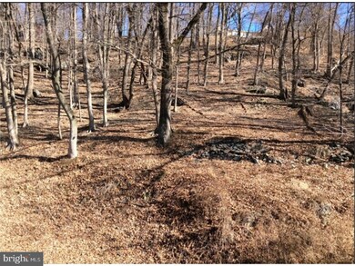 200 S Main St, Lambertville, NJ 08530 - photo 6