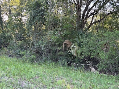 0 NE Highway 351, Cross City, FL - photo 5