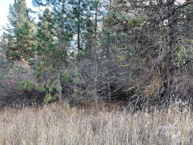 L129 Par Dr, Cascade, ID 83611 - photo 5