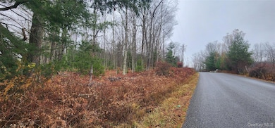 0 Thompsonville Rd, Thompson, NY 12701 - photo 2