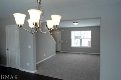 125 N Gadwall Ln, Downs, IL 61736 - photo 7