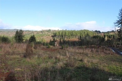 0 Xxx Slide Creek Rd, Longview, WA 98632 - photo 2