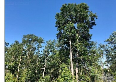 Lot 17 BS Buffalo Ridge Rd, Pace, FL 32571 - photo 5
