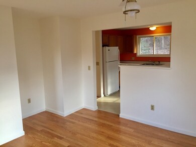 20 Charles Ln, Amherst, MA 01002 - photo 3