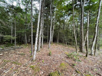 Lot G Blue Ridge Acres, Bristol, ME 04539 - photo 5