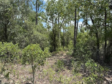 00 SW Rainbow Lakes Blvd, Dunnellon, FL 34431 - photo 3