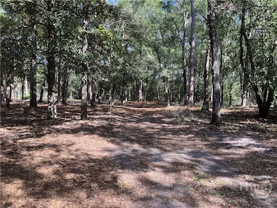 392 Reiser Rd, Springfield, GA 31329 - photo 4