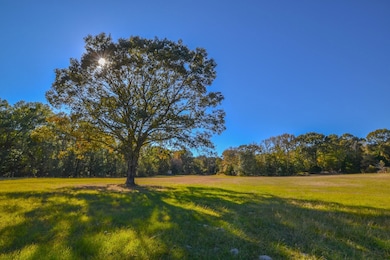 655 Vz Cr 2904, Eustace, TX 75124 - photo 2