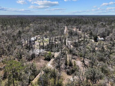 4278 Woods Creek Rd, Perry, FL 32347 - photo 4